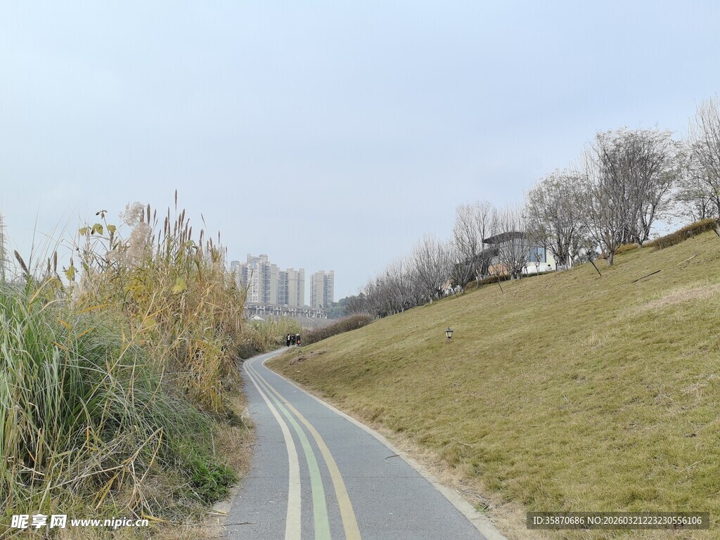 蜿蜒小路旁的自然景致