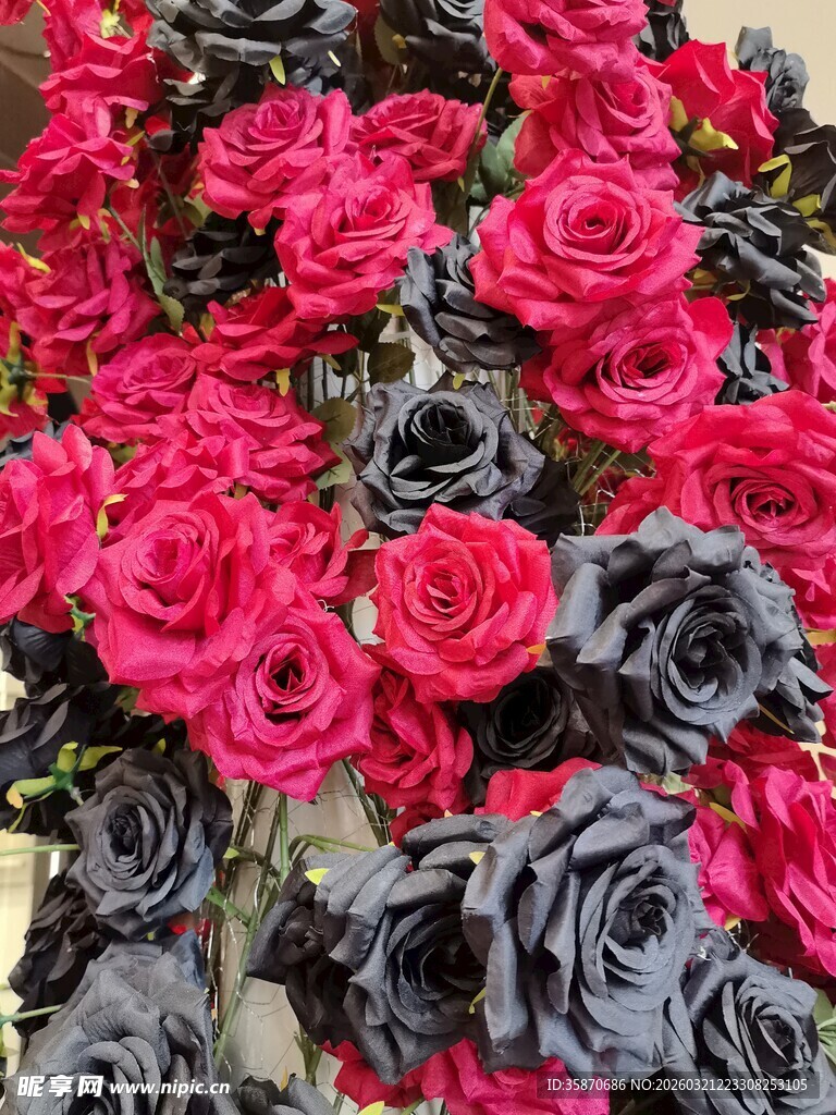 仿真红黑双色玫瑰花卉特写