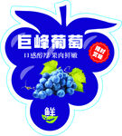 巨峰葡萄 标签不干胶
