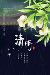 清明时节雨景 白花伴绿叶