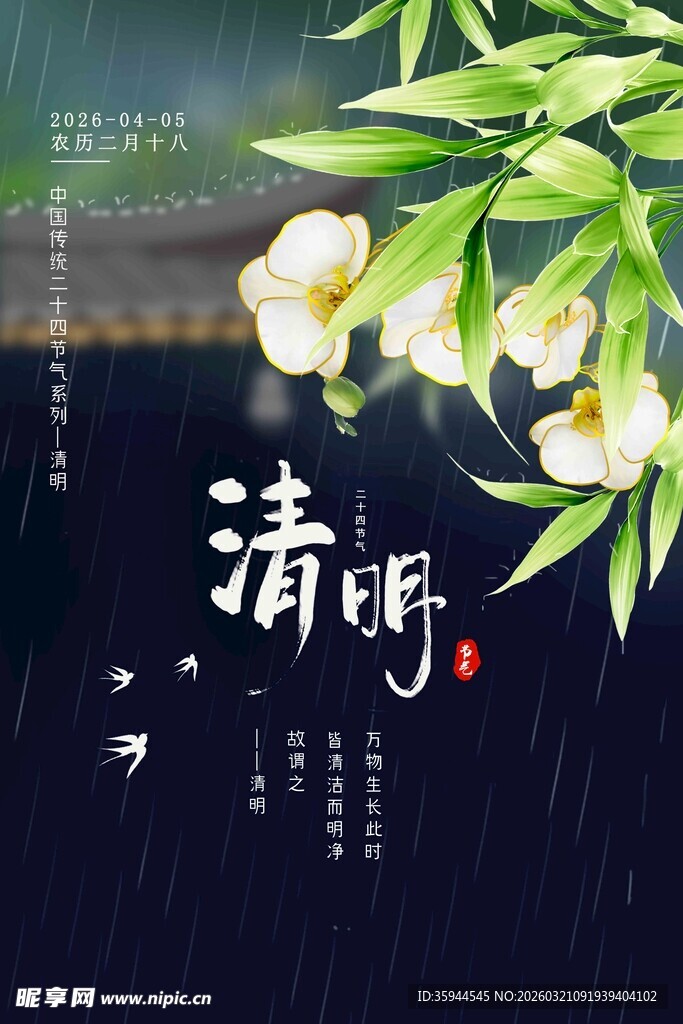 清明时节雨景 白花伴绿叶