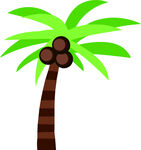 卡通风格的椰子树