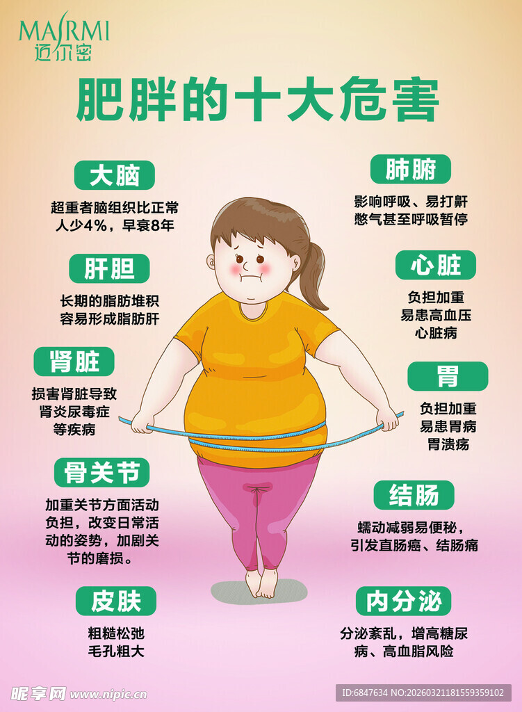 肥胖危害图示