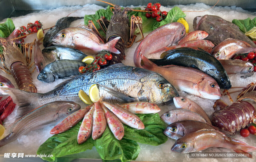 丰富多样的新鲜海鲜食材