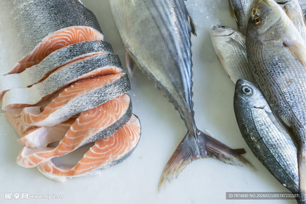 新鲜多样海鱼展示