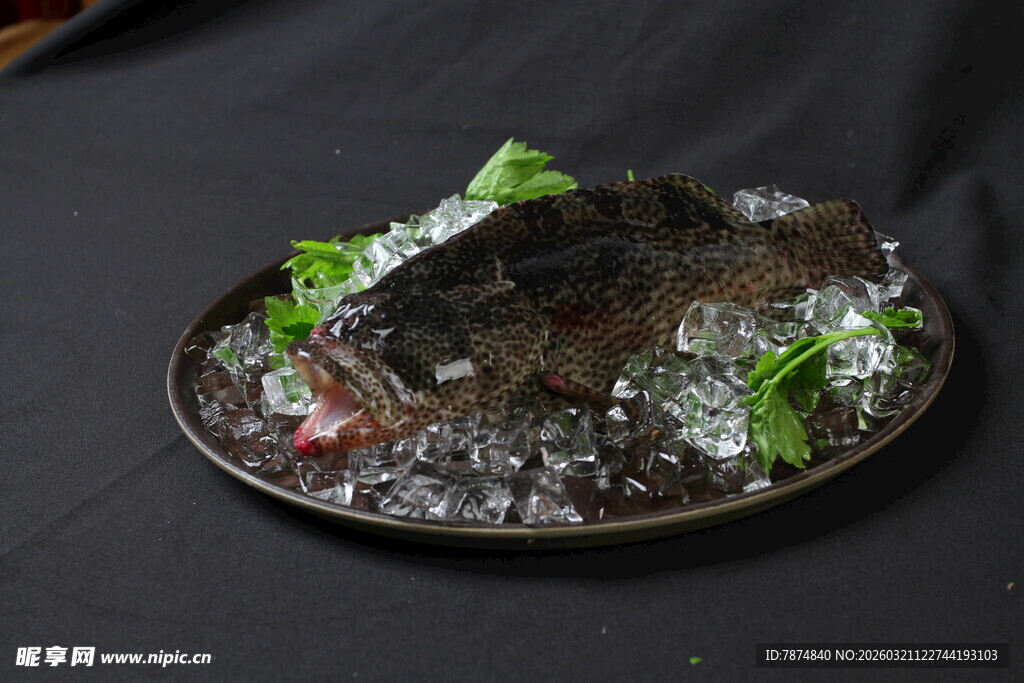 冰鲜老鼠斑鱼摆盘展示