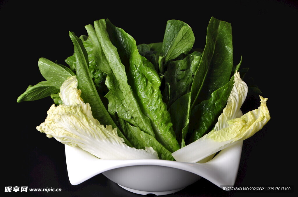 新鲜叶菜组合