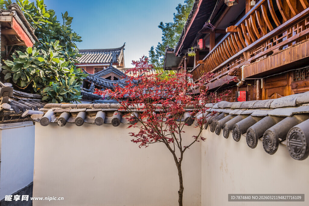 中式庭院中的红树与古建