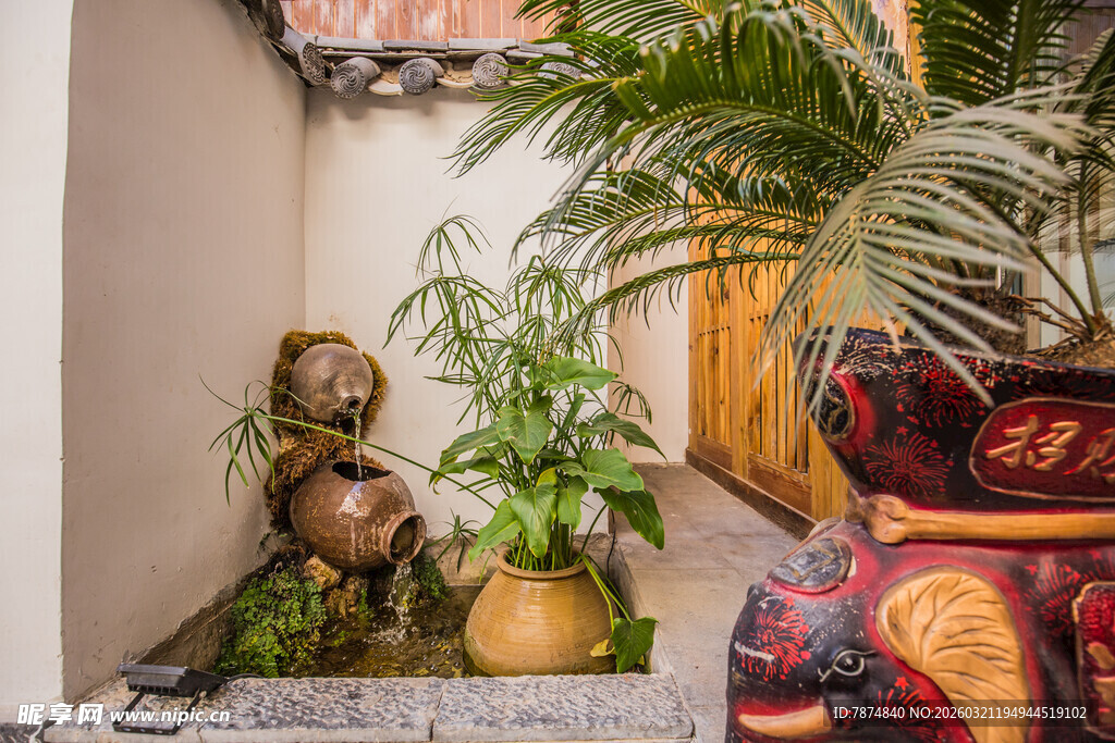 庭院角落的精致绿植景观