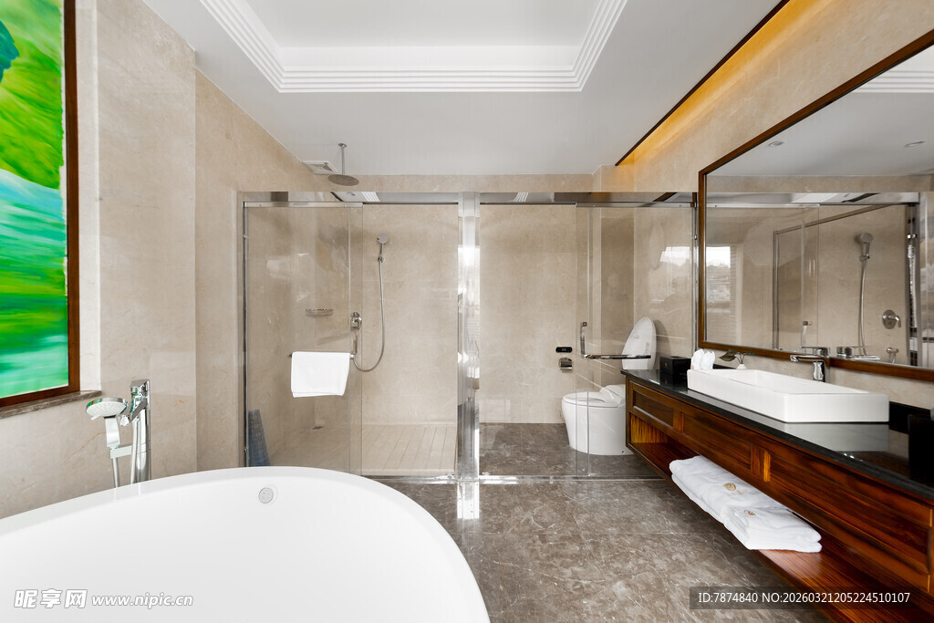 现代豪华浴室室内场景
