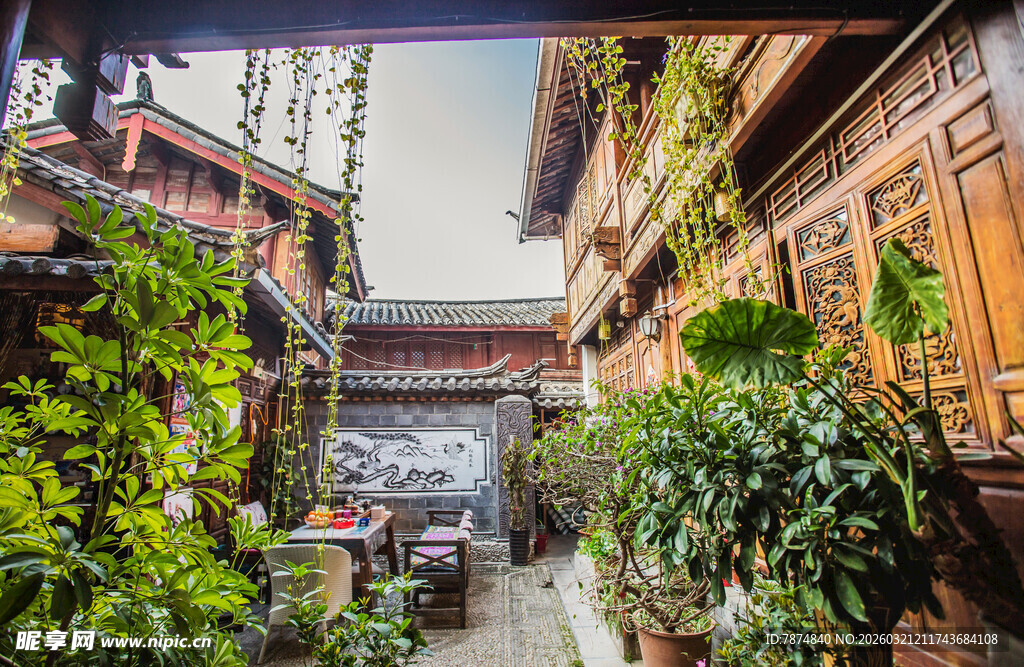 古巷绿植环绕的静谧小院