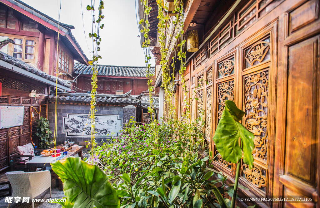 古巷小院绿植环绕景致美