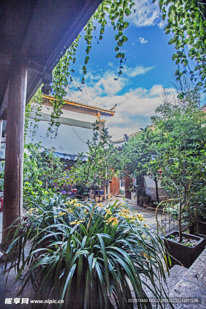 中式庭院绿植景观一角