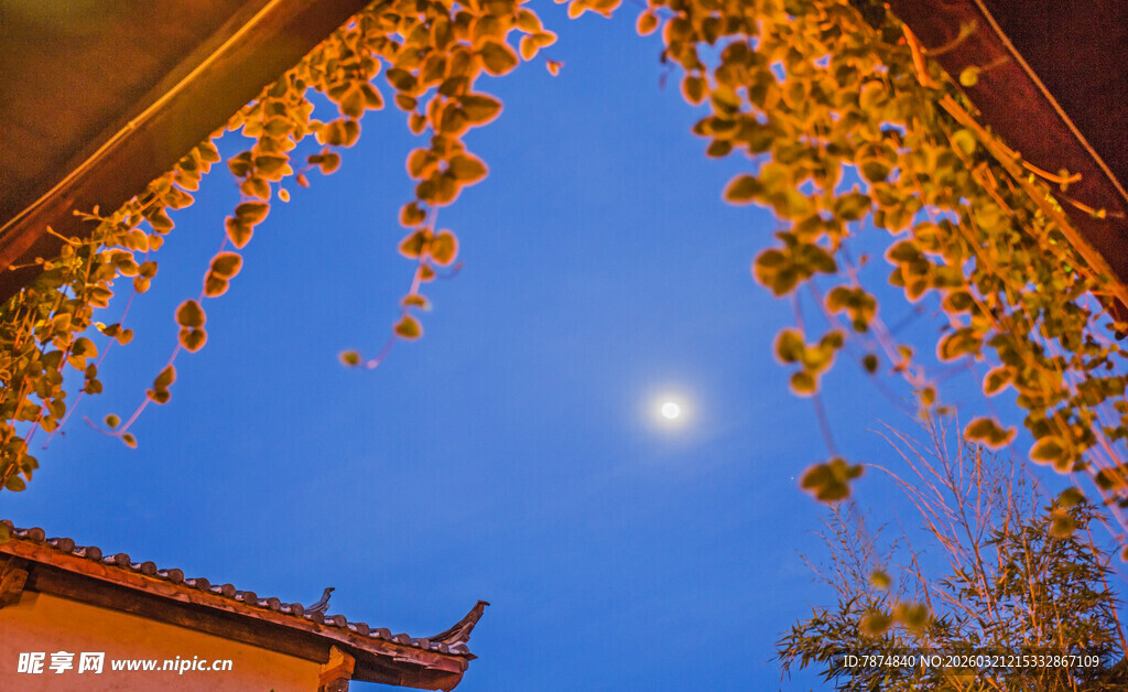 秋日屋檐下的金黄树叶