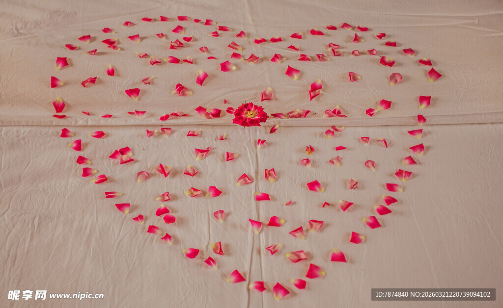 心形花瓣图案 浪漫氛围