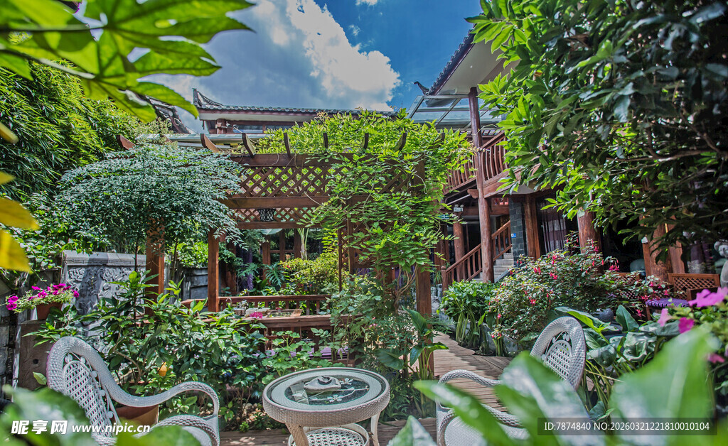 美丽庭院绿植景观