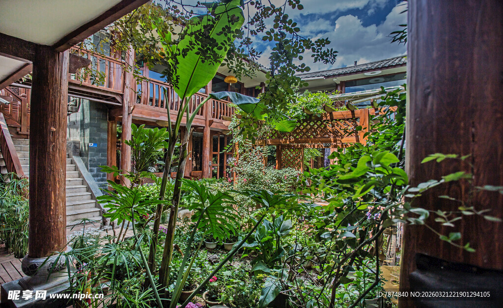 庭院绿植环绕的静谧角落