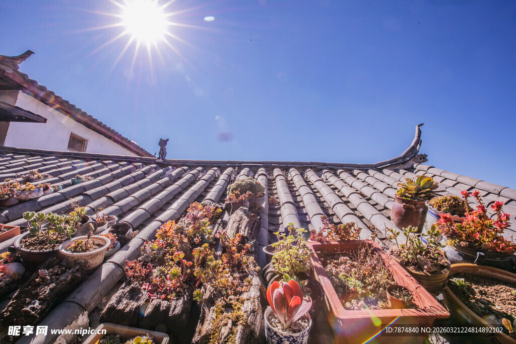 屋顶繁花映古建 景如画