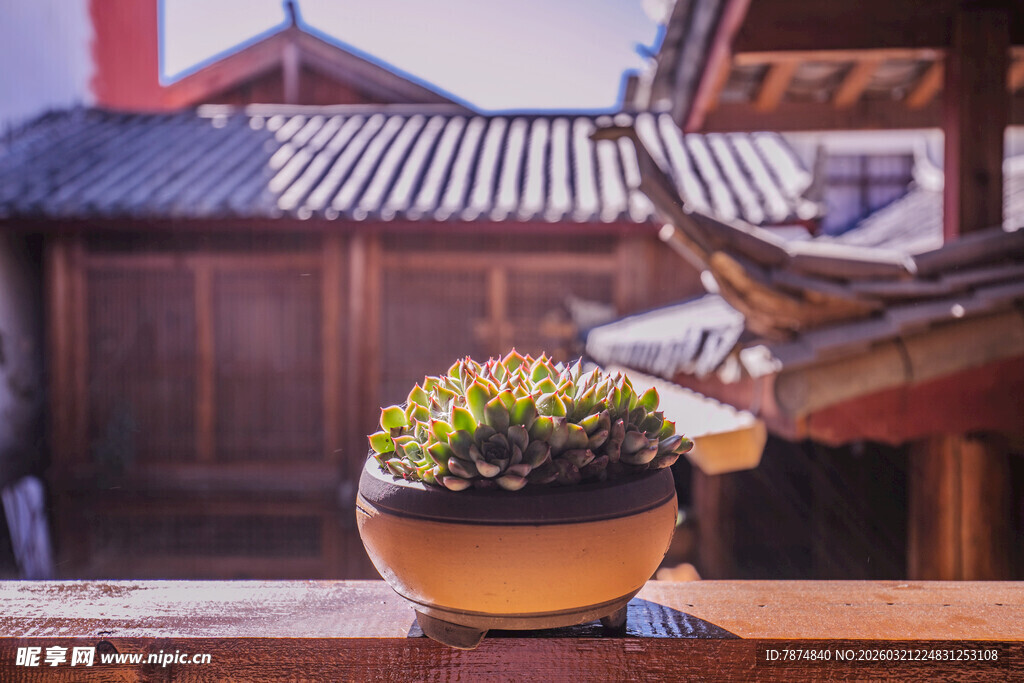 中式庭院盆栽 古朴意韵