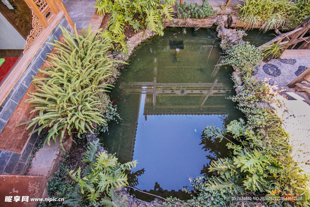 庭院中的清幽水景