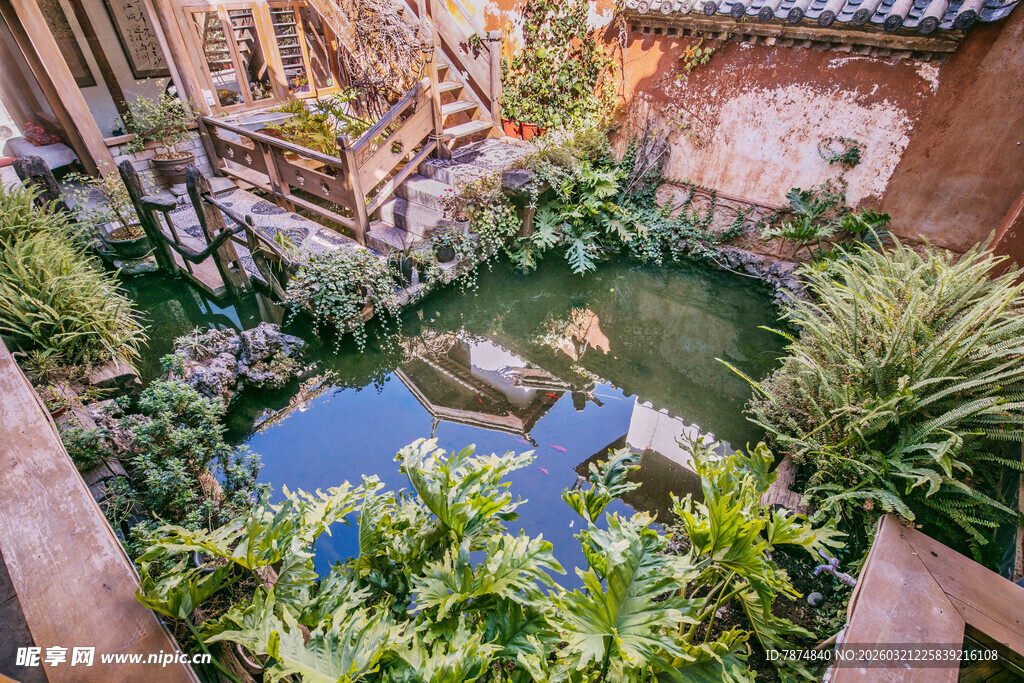 庭院中的静谧小池塘景观