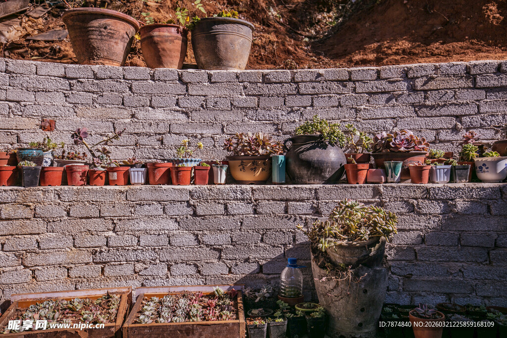 石墙边的多彩盆栽世界
