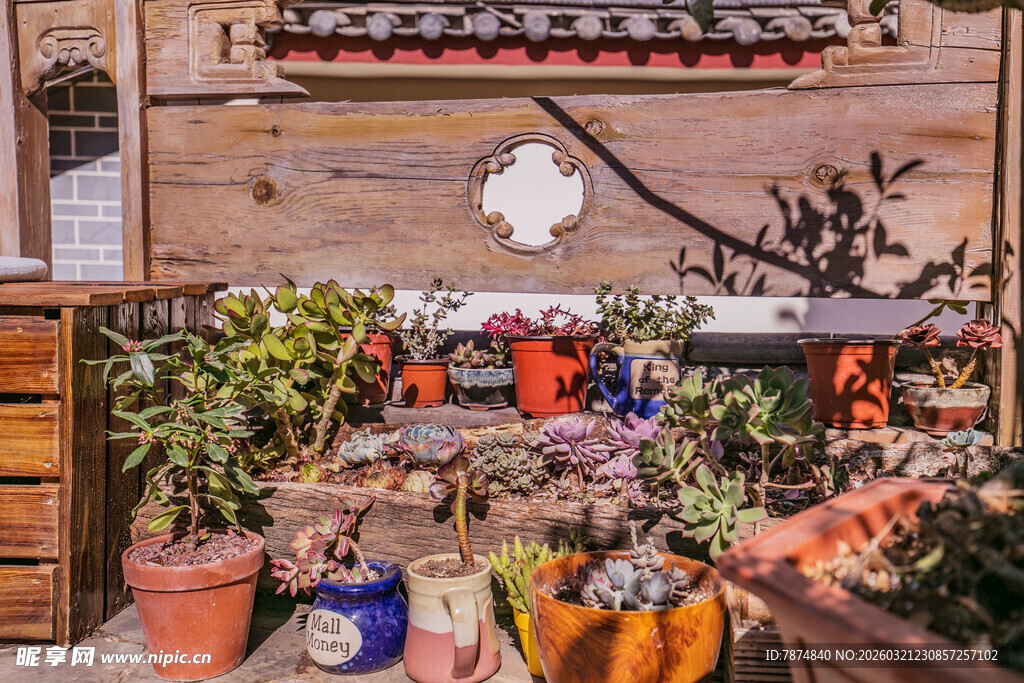 古墙边的多彩盆栽世界