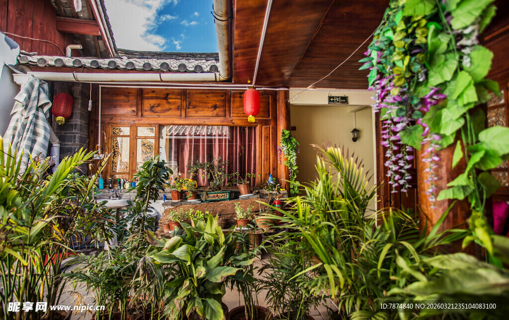 室内绿植环绕的温馨空间