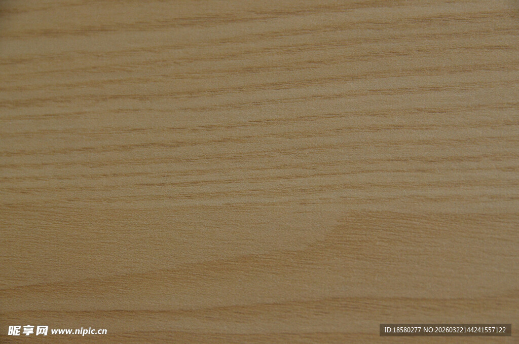 浅色木纹纹理特写