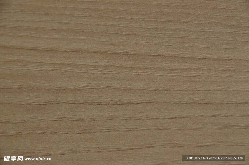 浅棕色木纹纹理特写