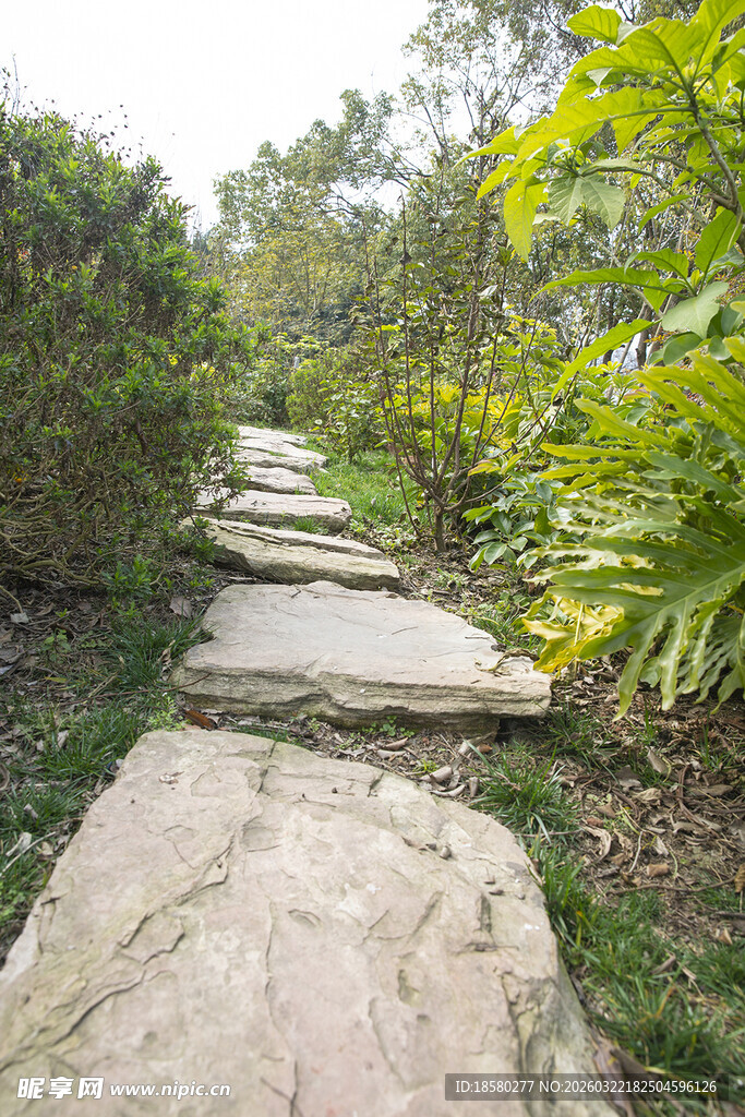 石板小径穿梭绿意之间