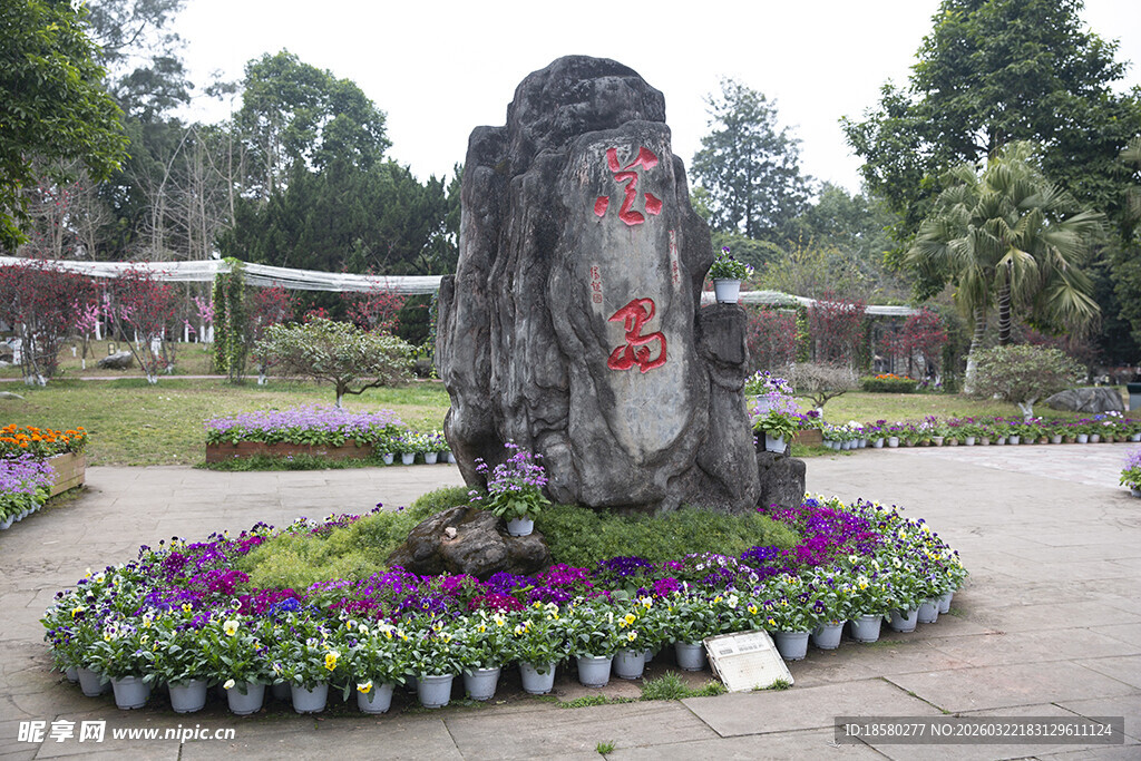 花岛园林景观中的花卉与刻字石