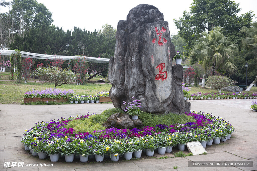 花岛园林景观中的特色花卉石景