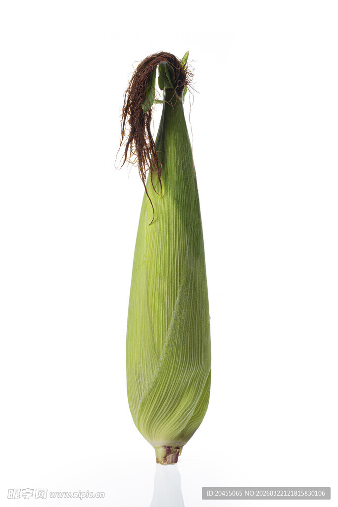 鲜绿玉米棒特写