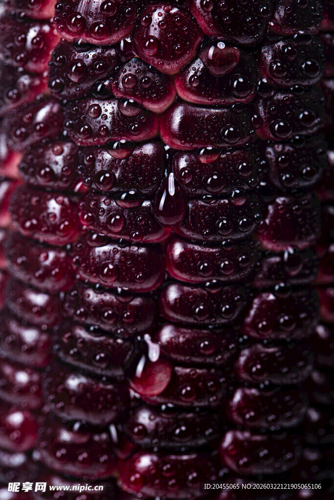 紫黑色玉米特写