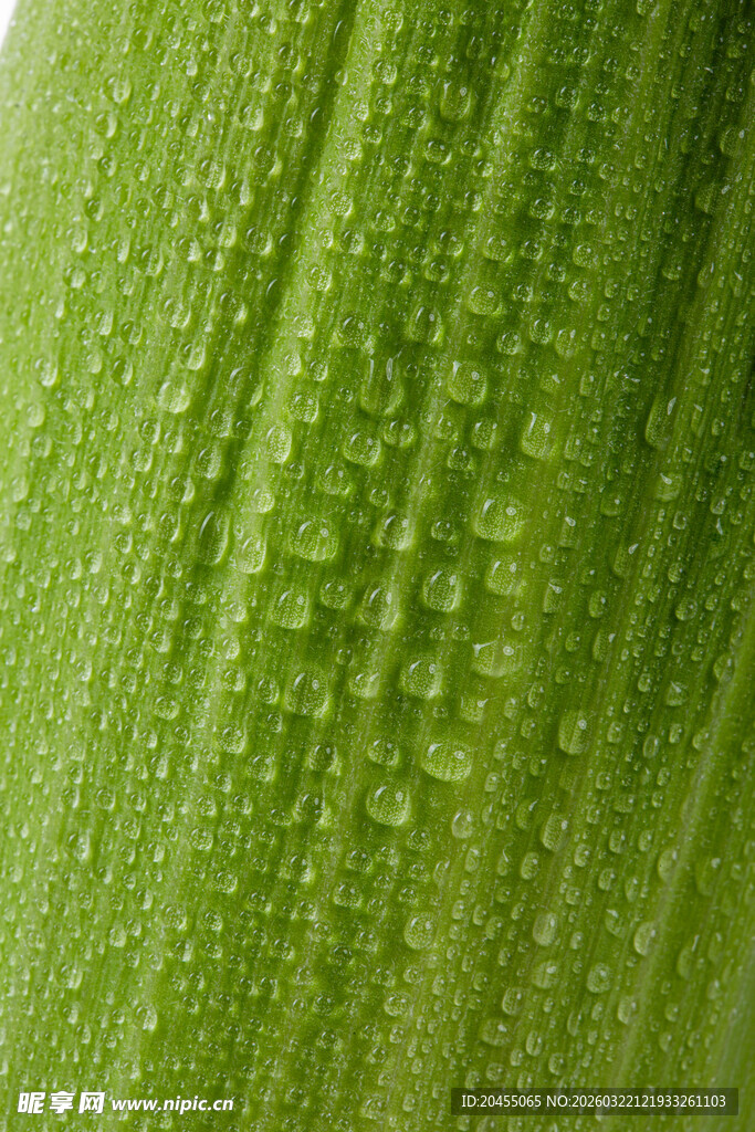 带水珠的鲜嫩绿色蔬菜