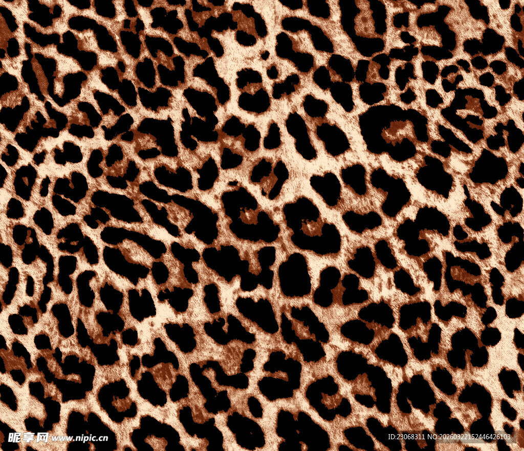 豹纹图案纹理