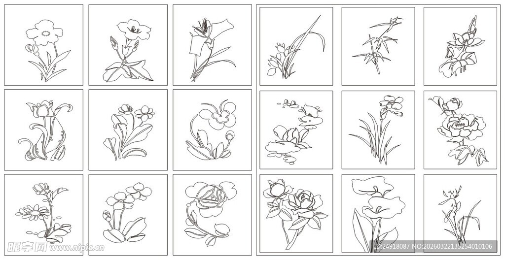 手绘植物花卉图案集合