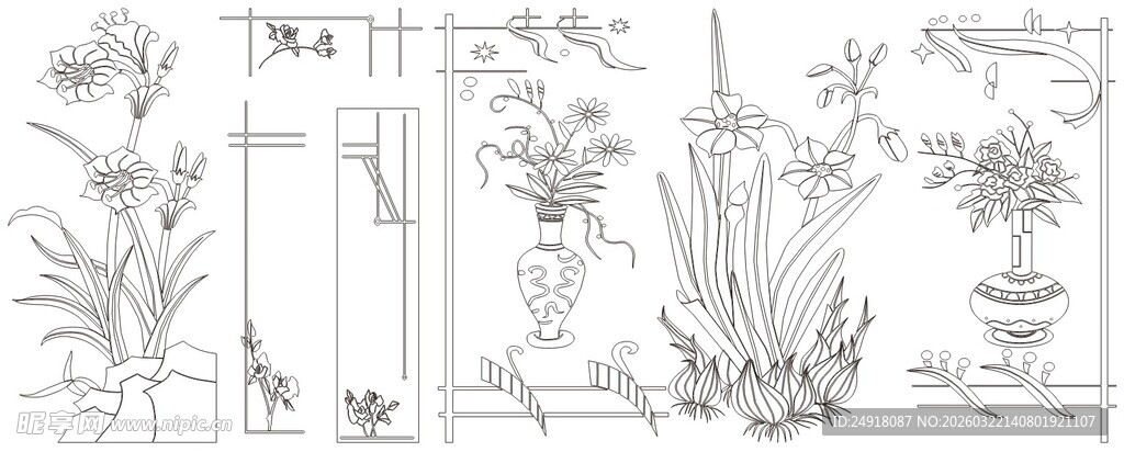 植物形态手绘插画