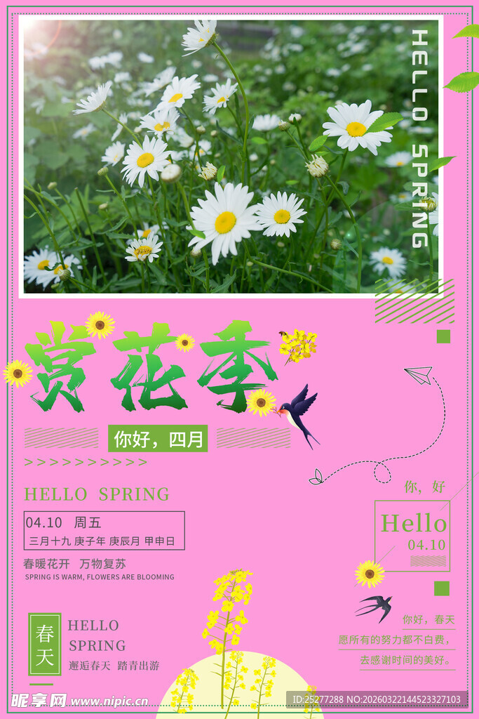 浪漫赏花季海报展示