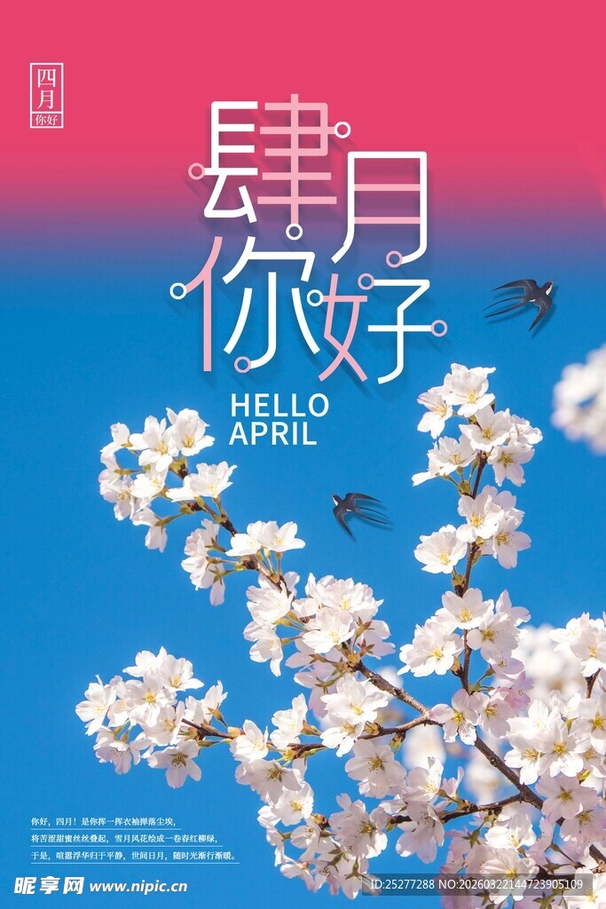 春日樱花下的美好邂逅