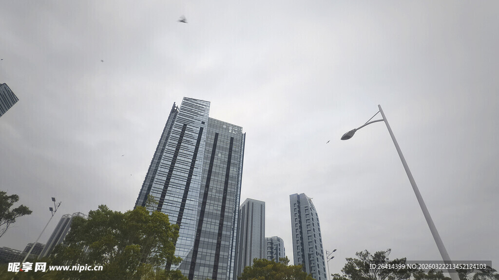 城市高楼与空中飞鸟景观
