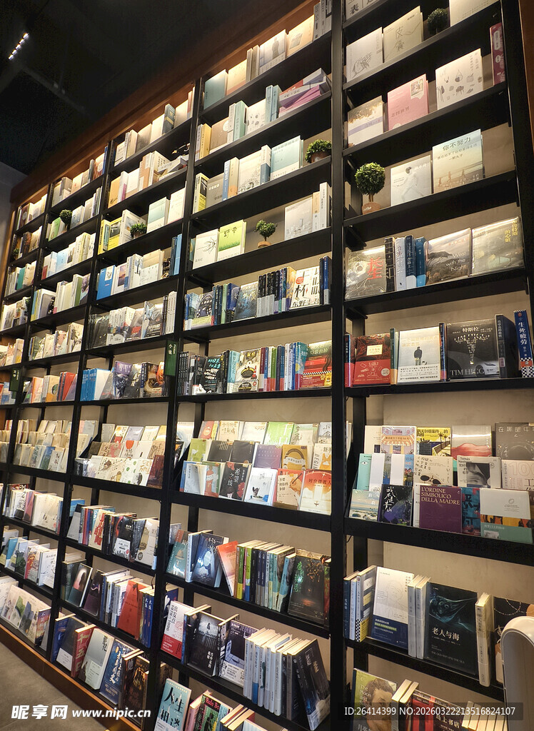 满墙书架的静谧阅读空间