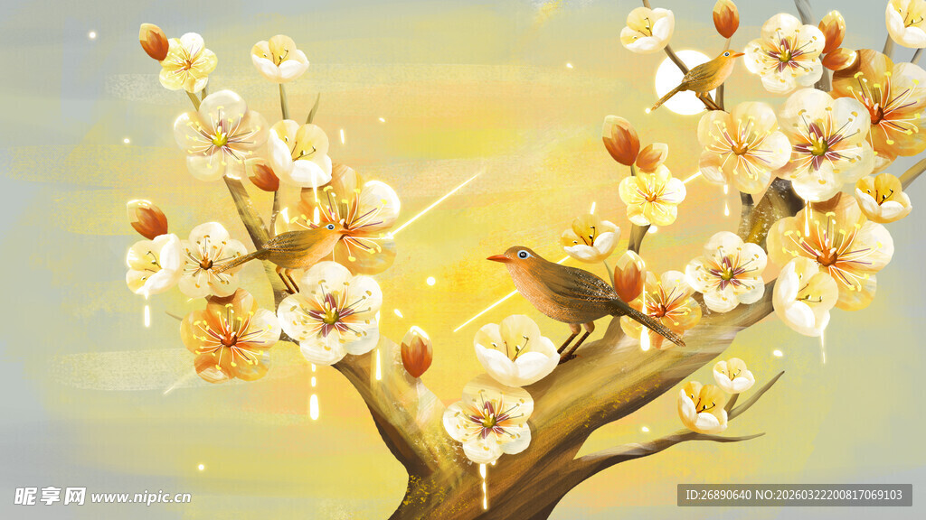 枝头绽放的绚烂杏花