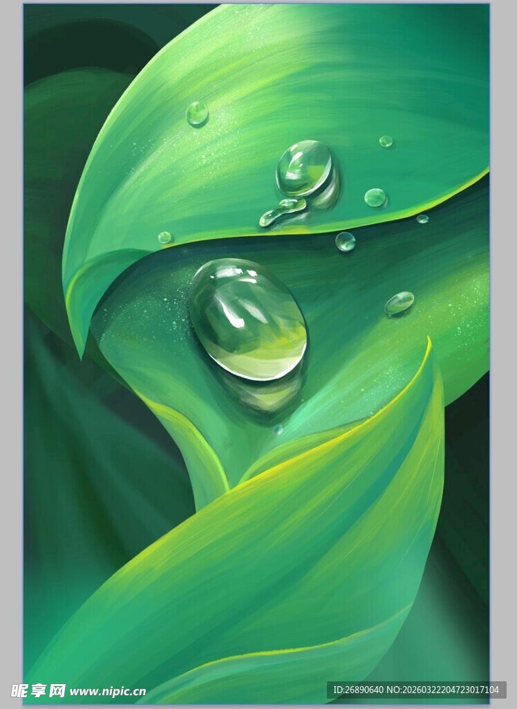 绿叶上的晶莹水珠