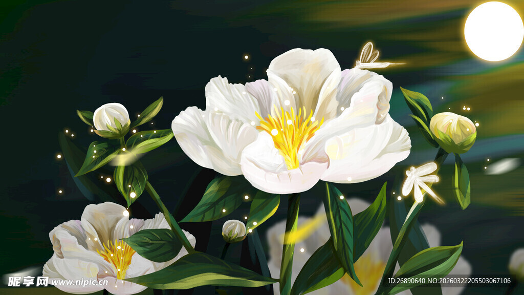 洁白素雅的绽放花朵