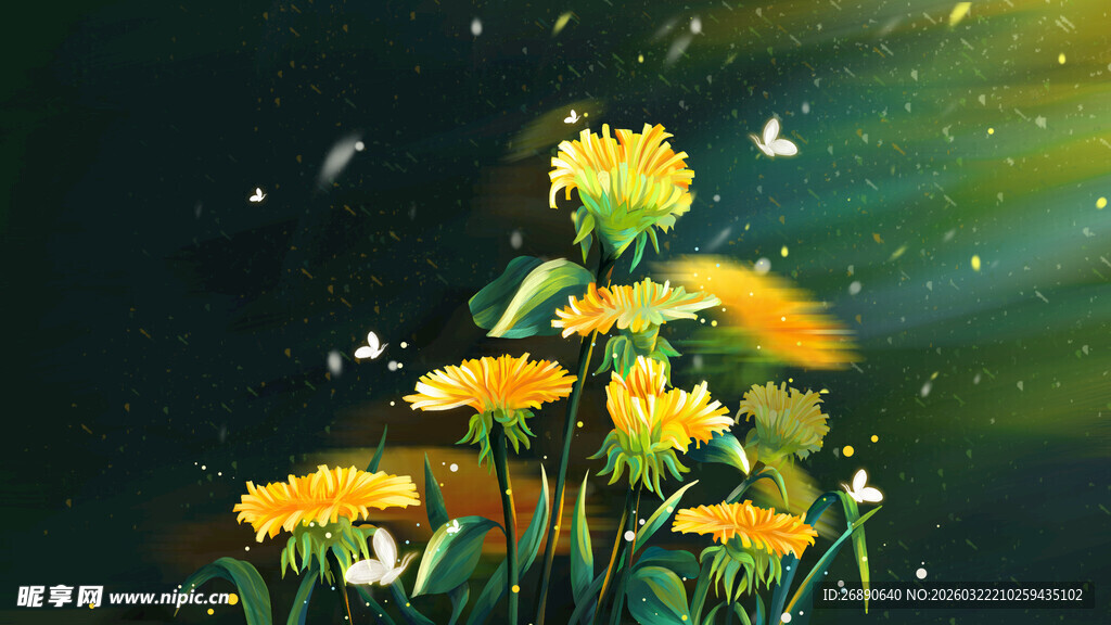 夜中绽放的灿烂黄色花朵