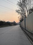 黄昏下的静谧道路