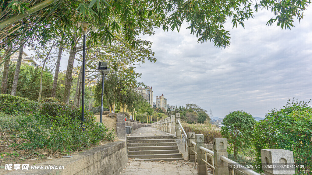 林间石阶小道 自然景致