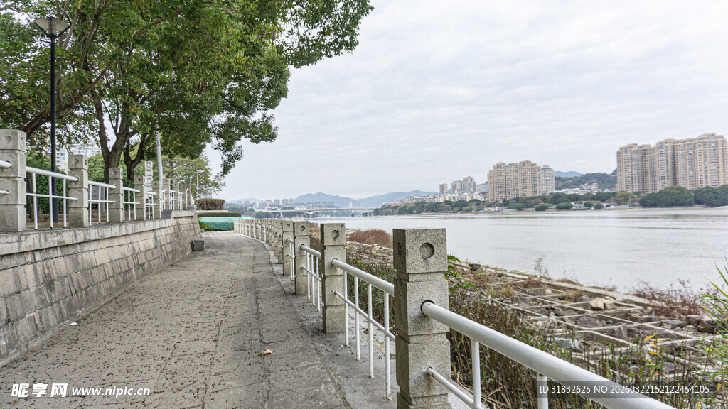 江边林荫步道风景